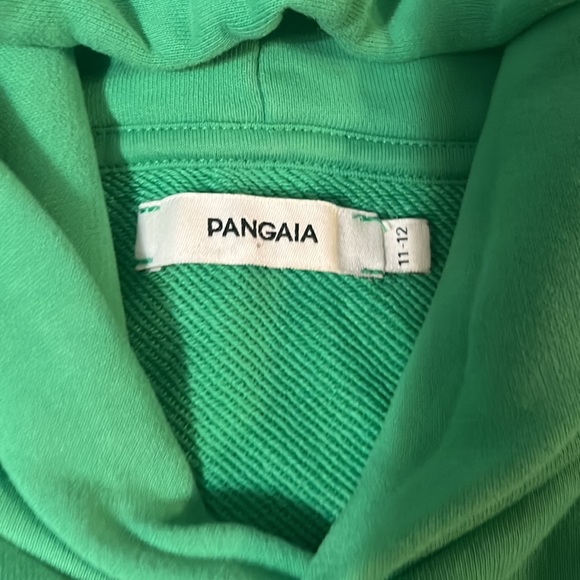 Pangaia green sweat set - Picture 3 of 4